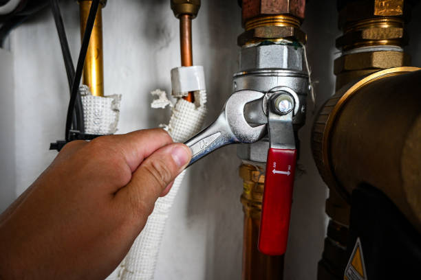 Best Drain Cleaning Services  in Corona De Tucson, AZ